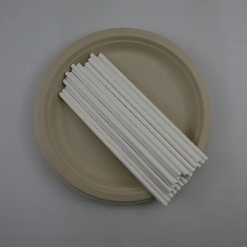 Disposable-Biodegradable-Paper-Drinking-Straws.jpg