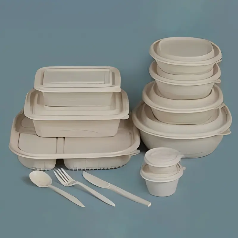 100%-Eco-Friendly-Biodegradable-Tableware.jpg