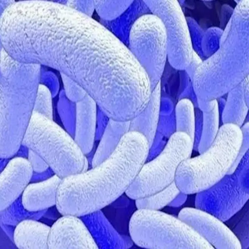 塑膠降解技術:減輕地球負擔的綠色希望